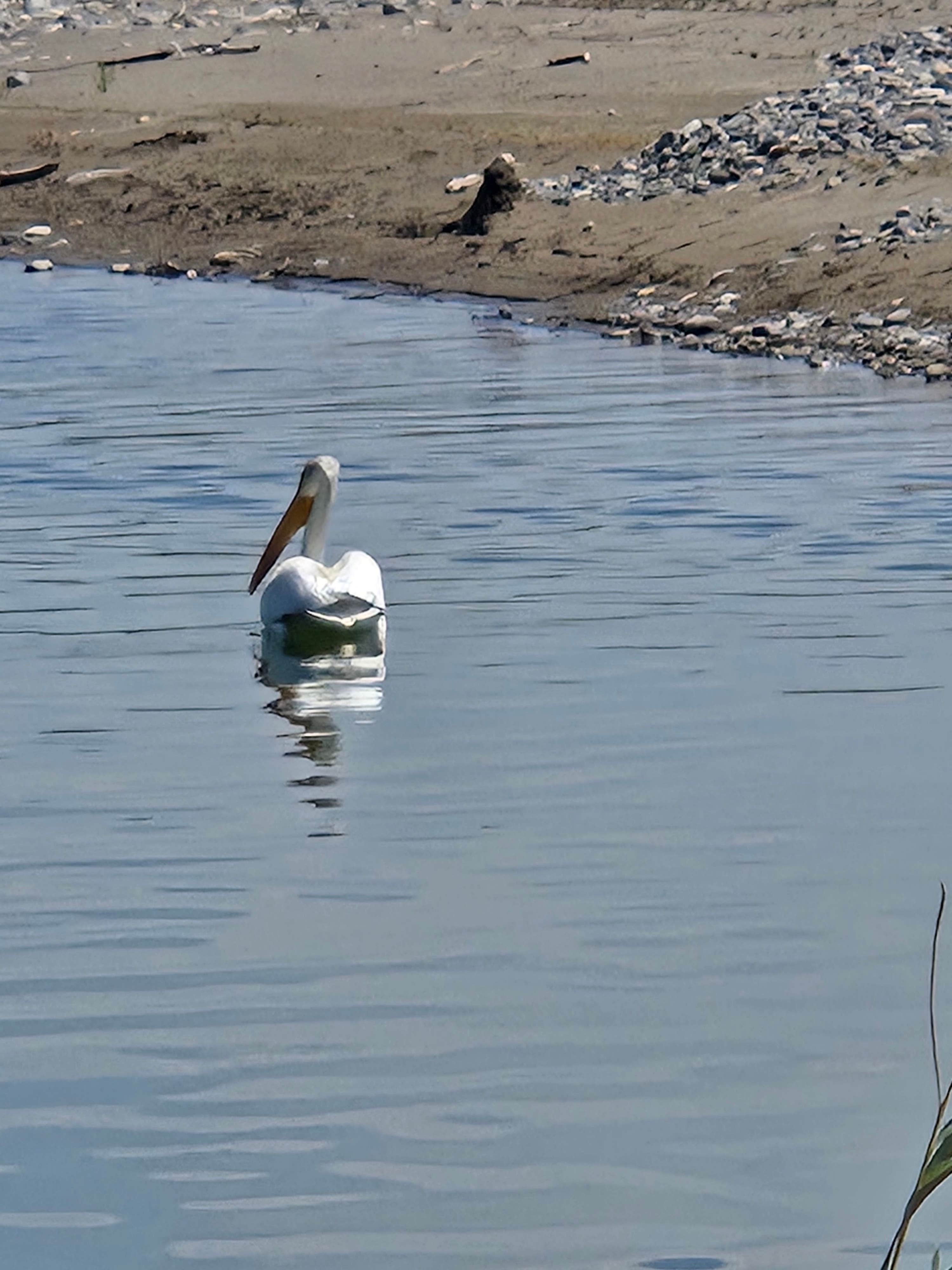 Camper submitted image from Otter Creek Fishing Access - 2