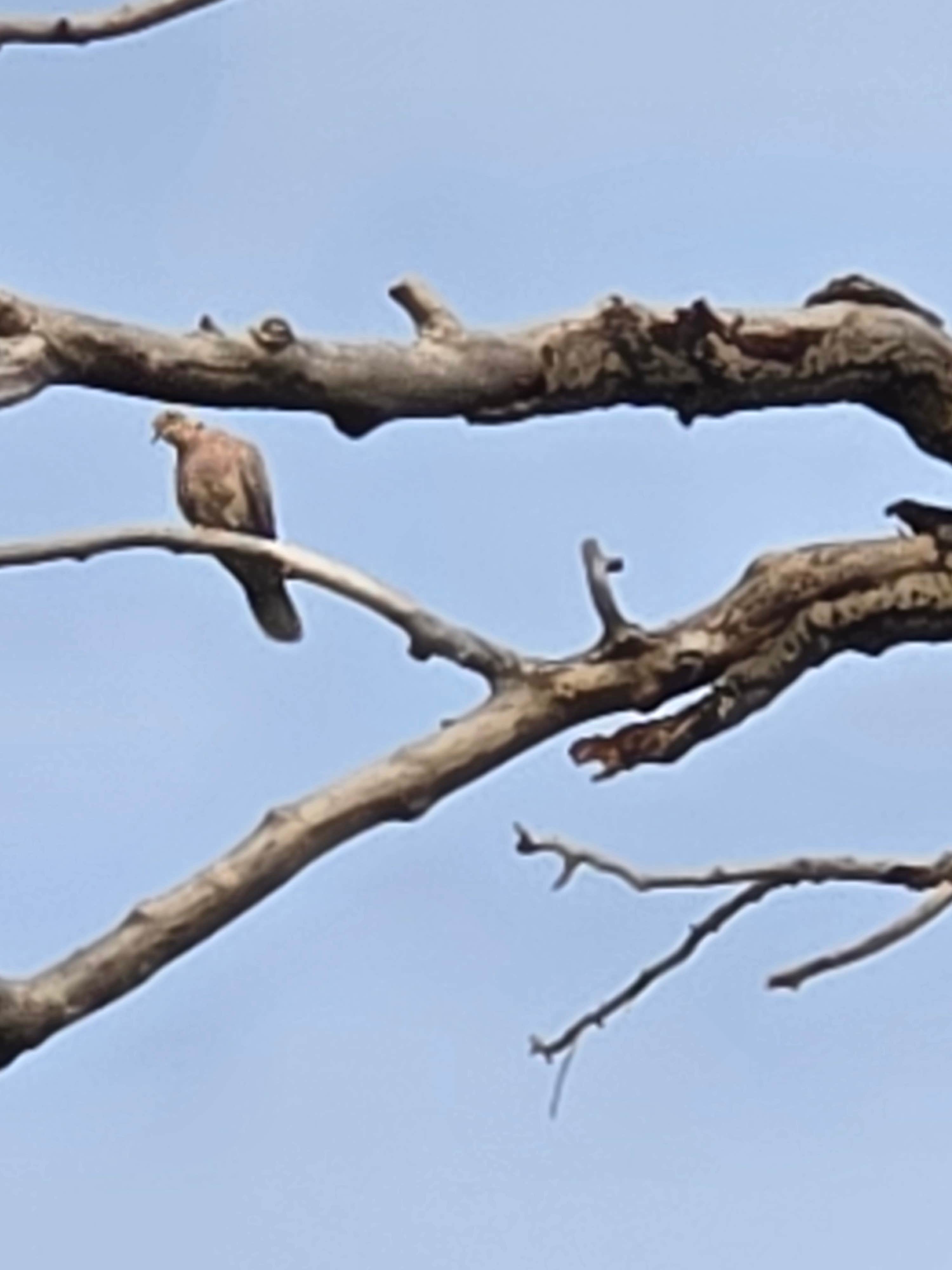 Camper-submitted photo at Otter Creek Fishing Access near Melville, MT