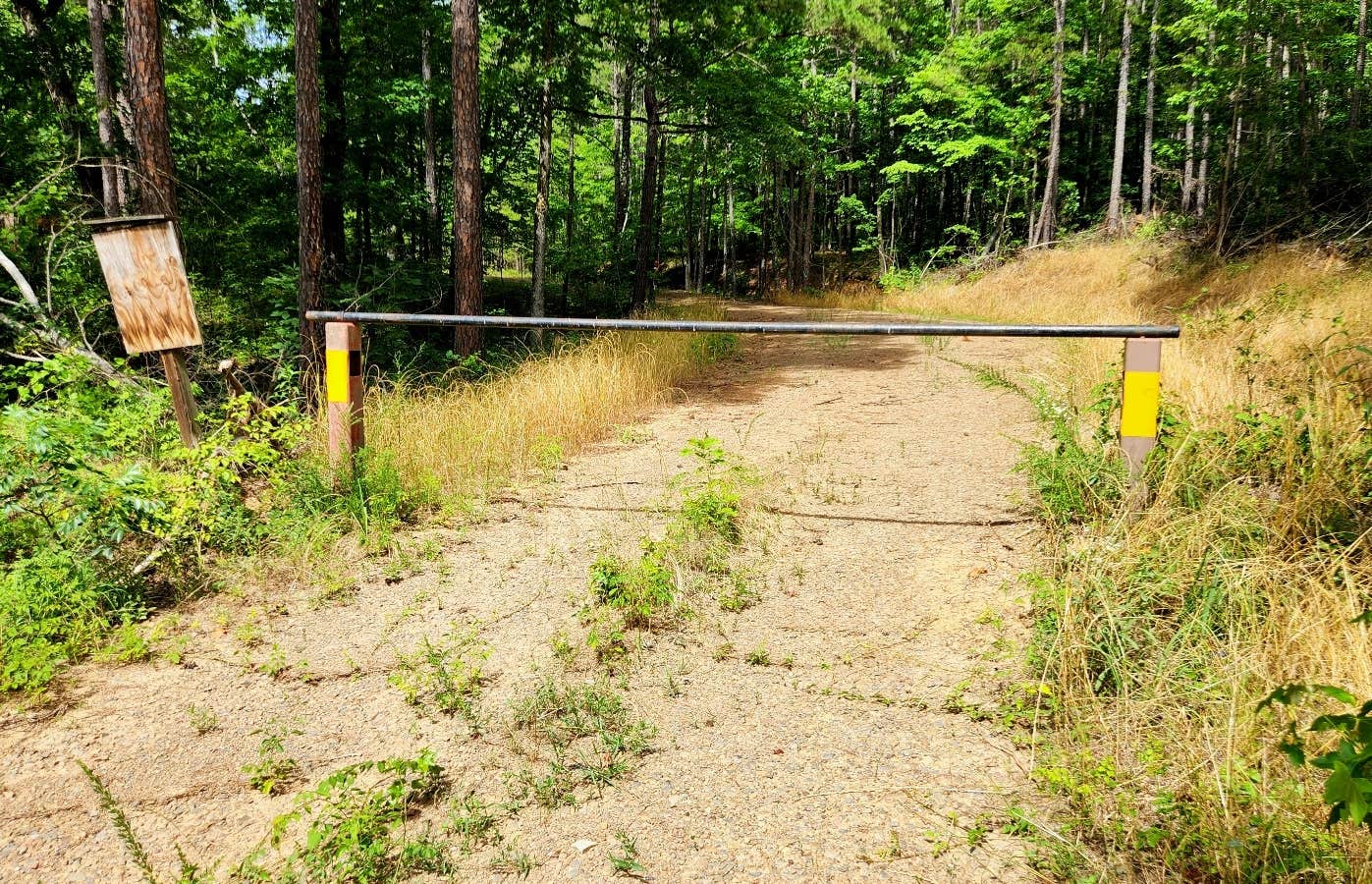 Camper submitted image from Ouachita National Forest Fourche Mountain - 5