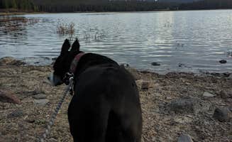 Maggie C.'s photo of a dispersed camping area at Overland Reservoir (Dispersed)-Paonia RD near Gunnison National Forest