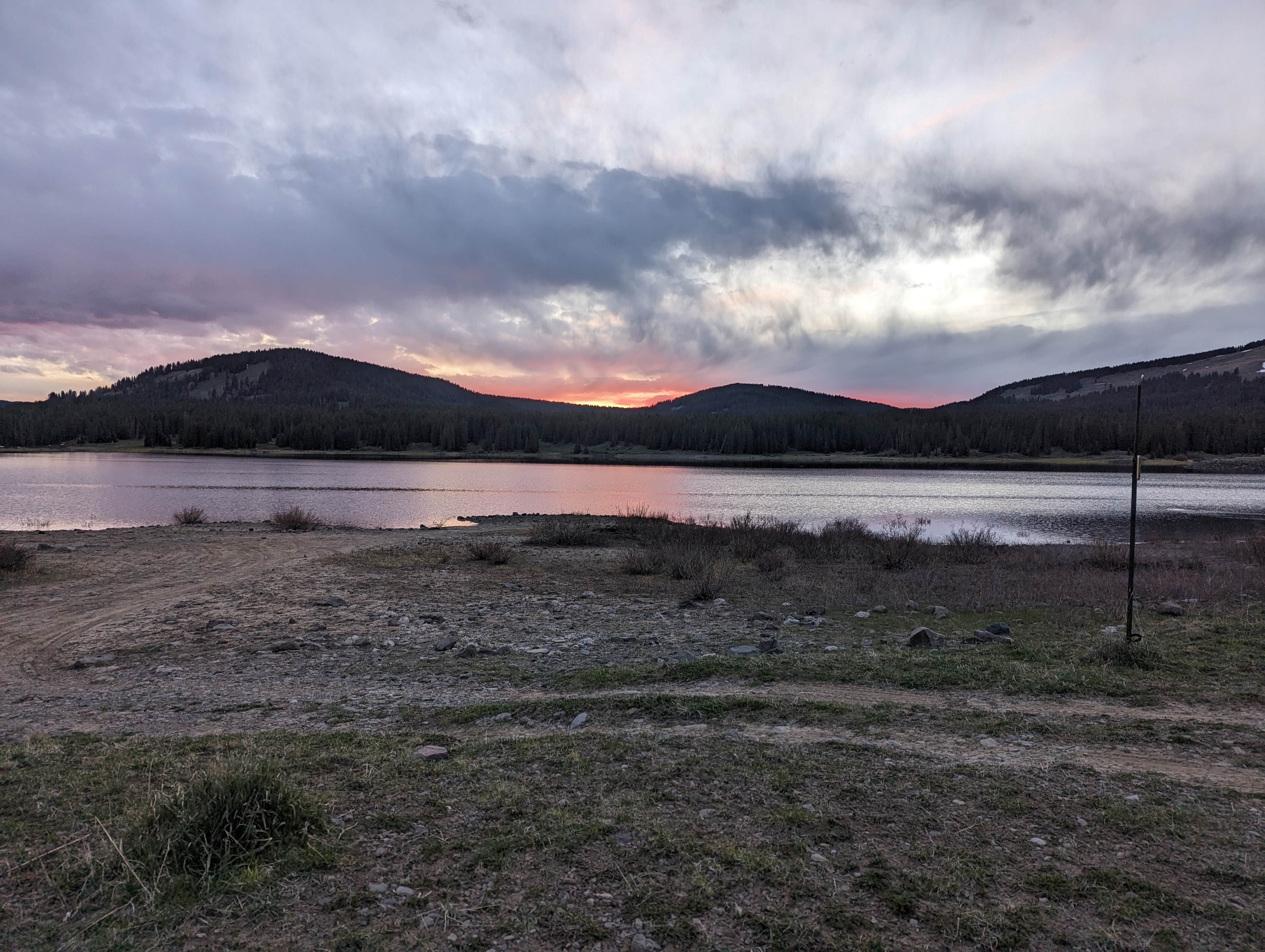 Maggie C.'s photo of a dispersed camping area at Overland Reservoir (Dispersed)-Paonia RD near Paonia, CO