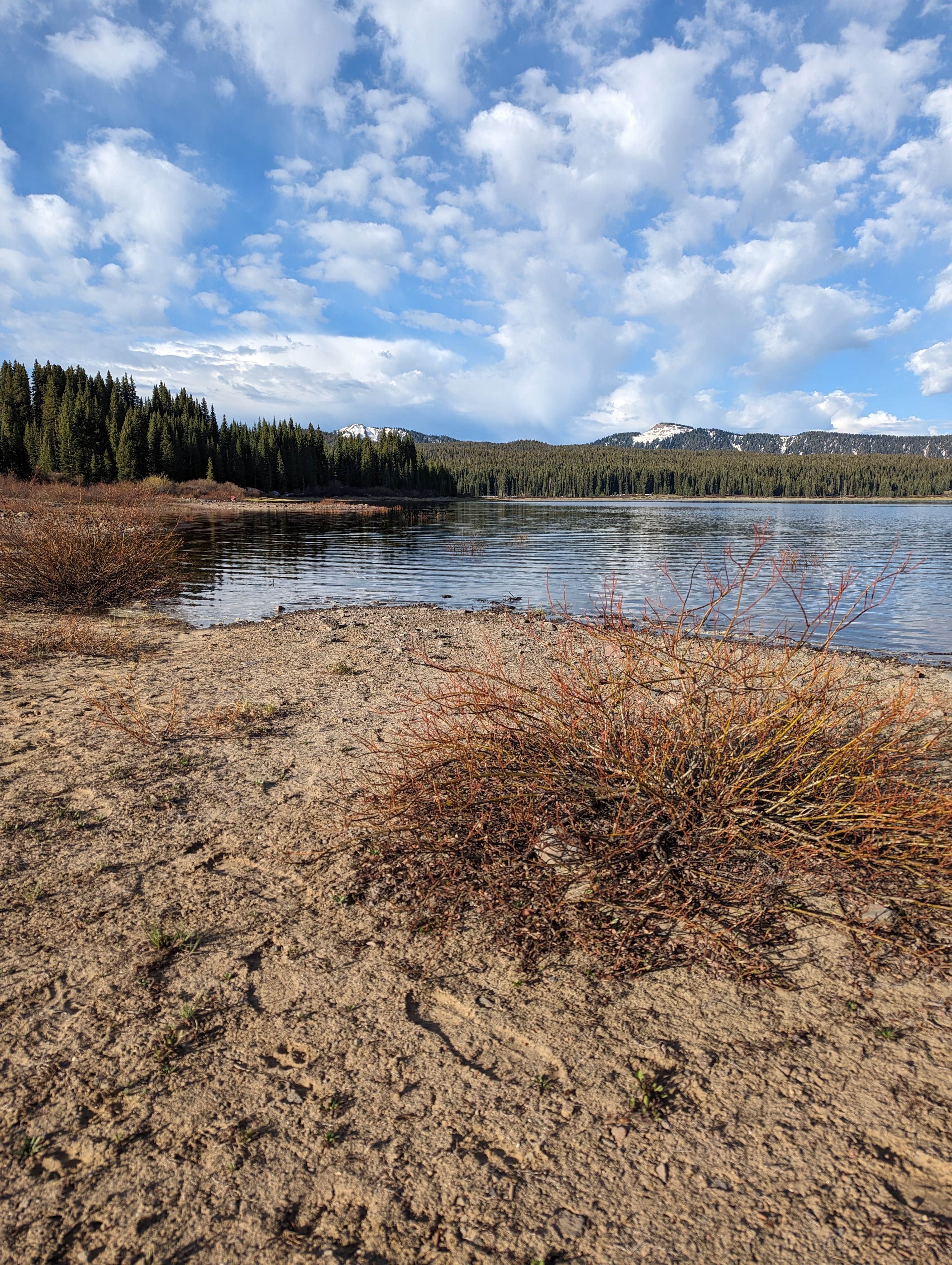 Maggie C.'s photo of a dispersed camping area at Overland Reservoir (Dispersed)-Paonia RD near Cedaredge, CO