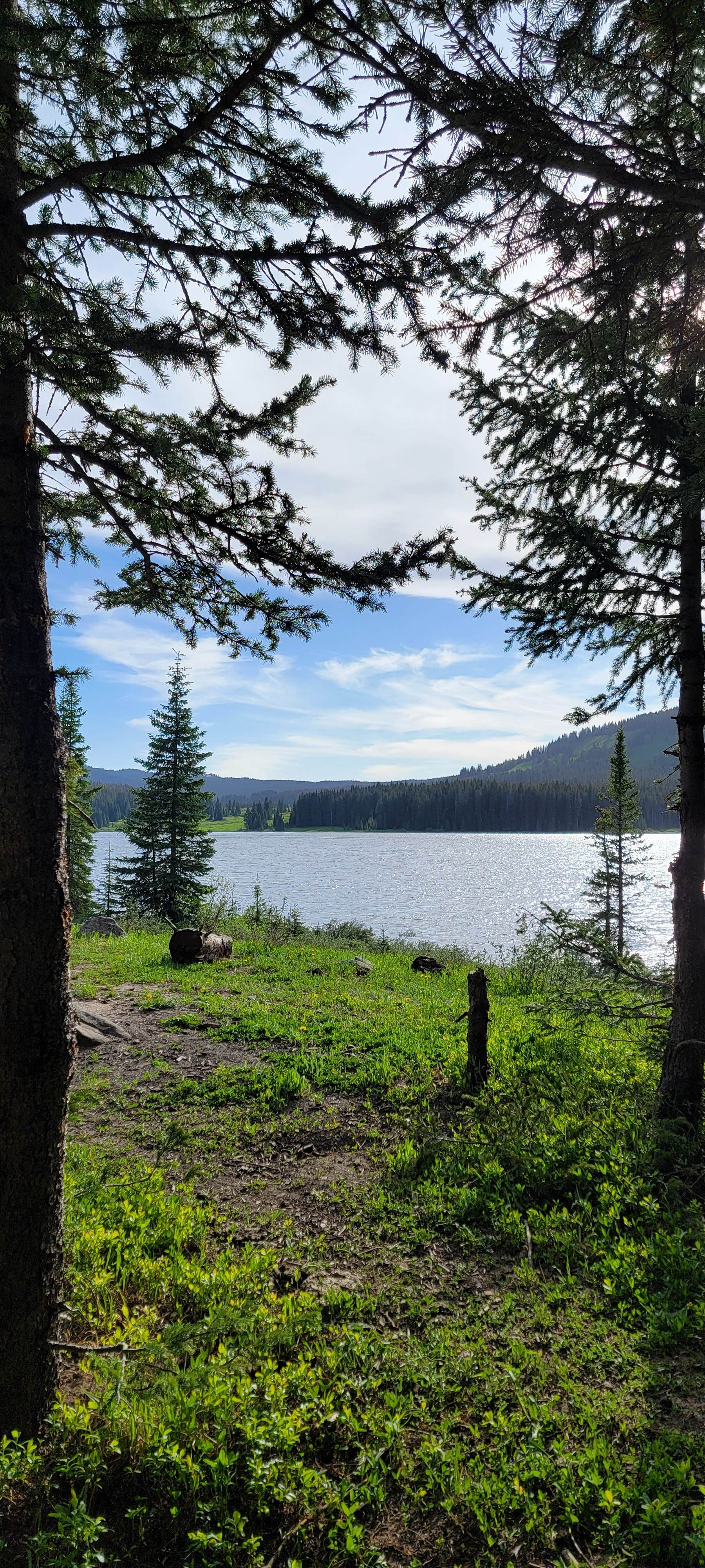 Heather M.'s photo of a dispersed camping area at Overland Reservoir (Dispersed)-Paonia RD near Collbran, CO