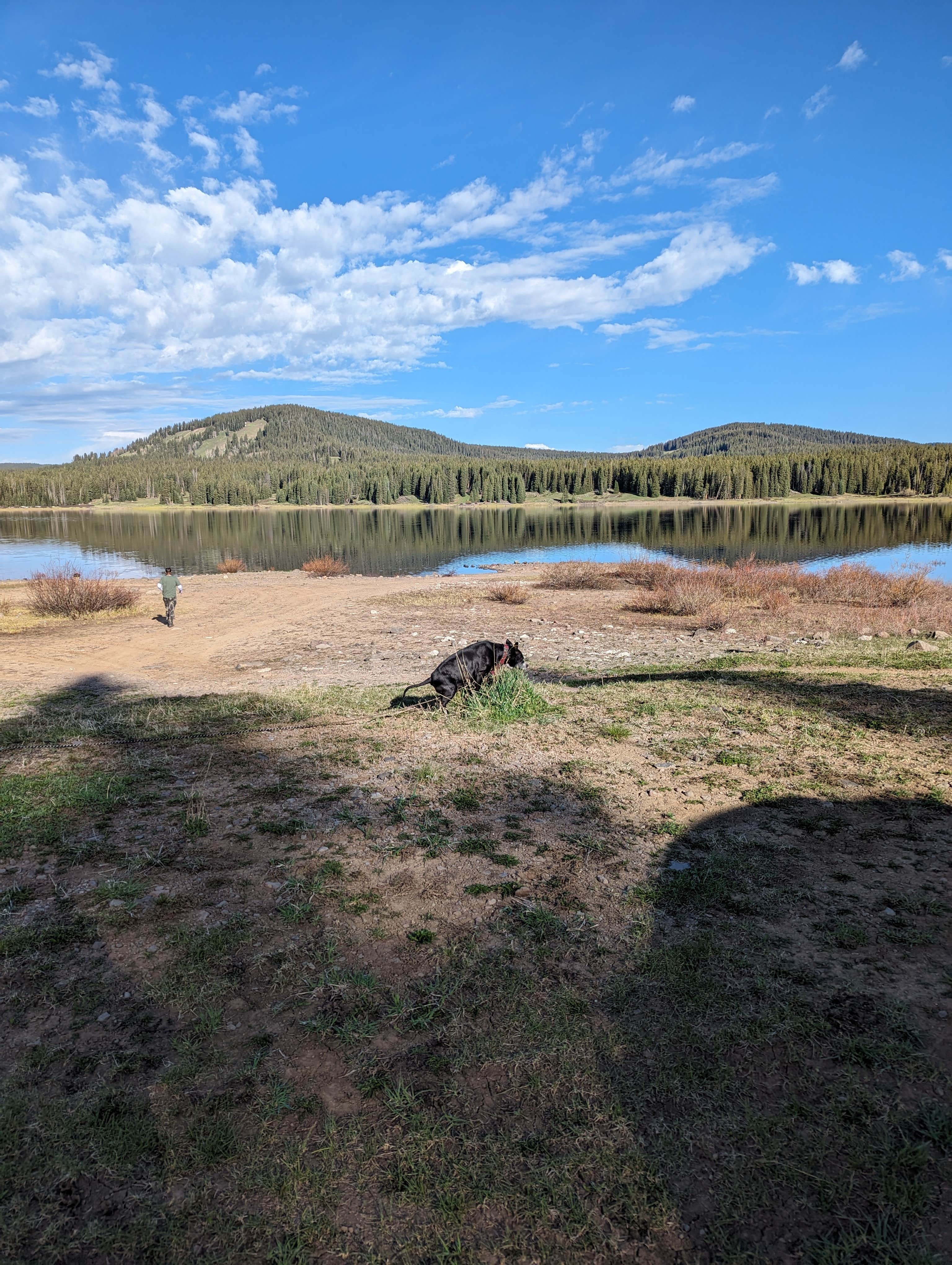 Camper submitted image from Overland Reservoir (Dispersed)-Paonia RD - 5
