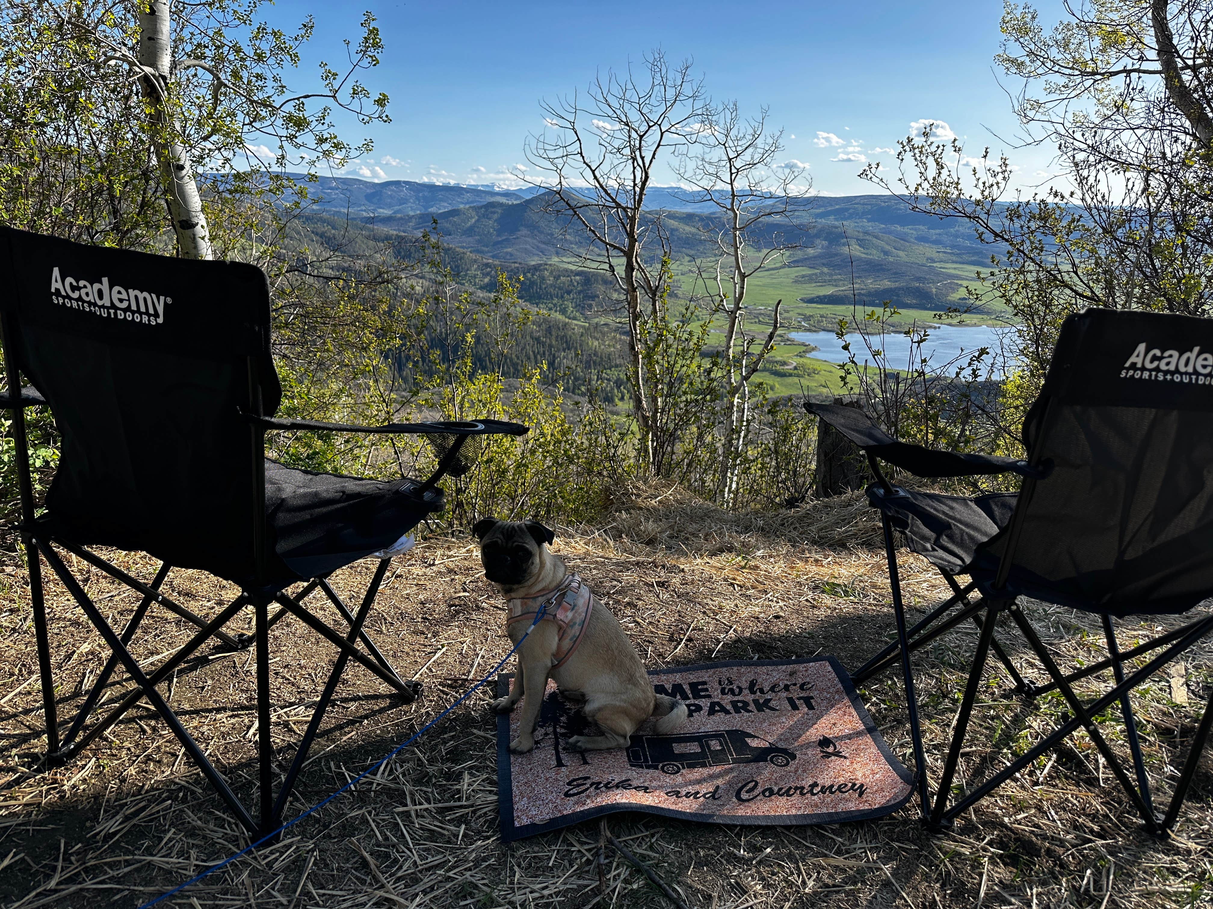 Camper submitted image from Dispersed Overlook off Hwy 40 - 4