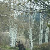 Review photo of Dispersed Overlook off Hwy 40 by Meisa M., May 5, 2026