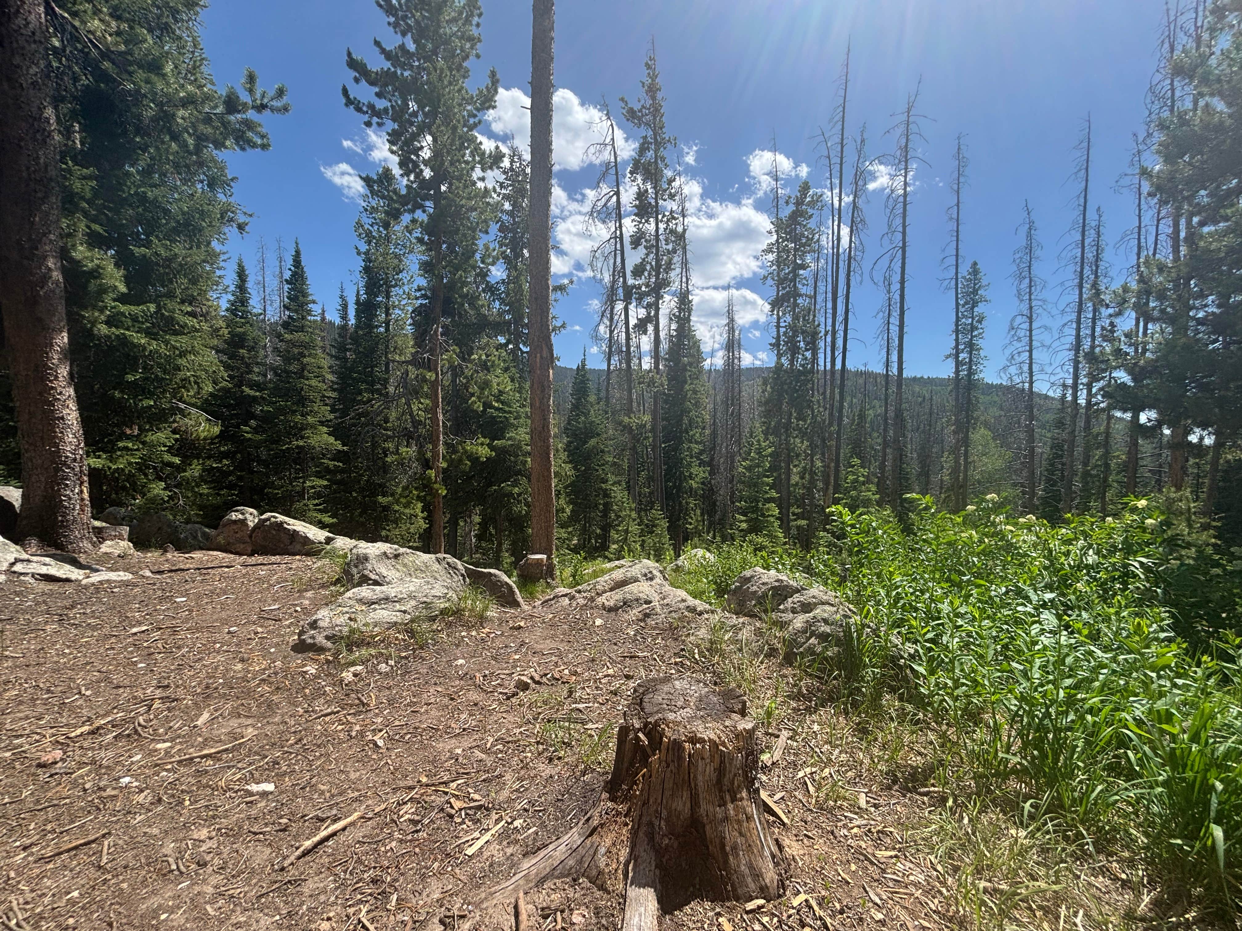 Camper-submitted photo at Dispersed Overlook off Hwy 40 near Coalmont, CO