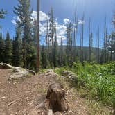 Review photo of Dispersed Overlook off Hwy 40 by Nora S., July 1, 2025