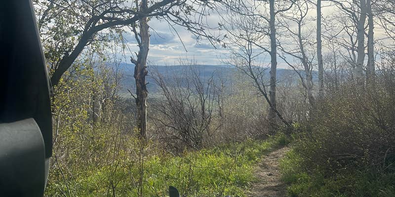 Camper submitted image from Dispersed Overlook off Hwy 40