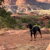 Review photo of Overlook Point Dispersed Site by Teresa A., May 1, 2025