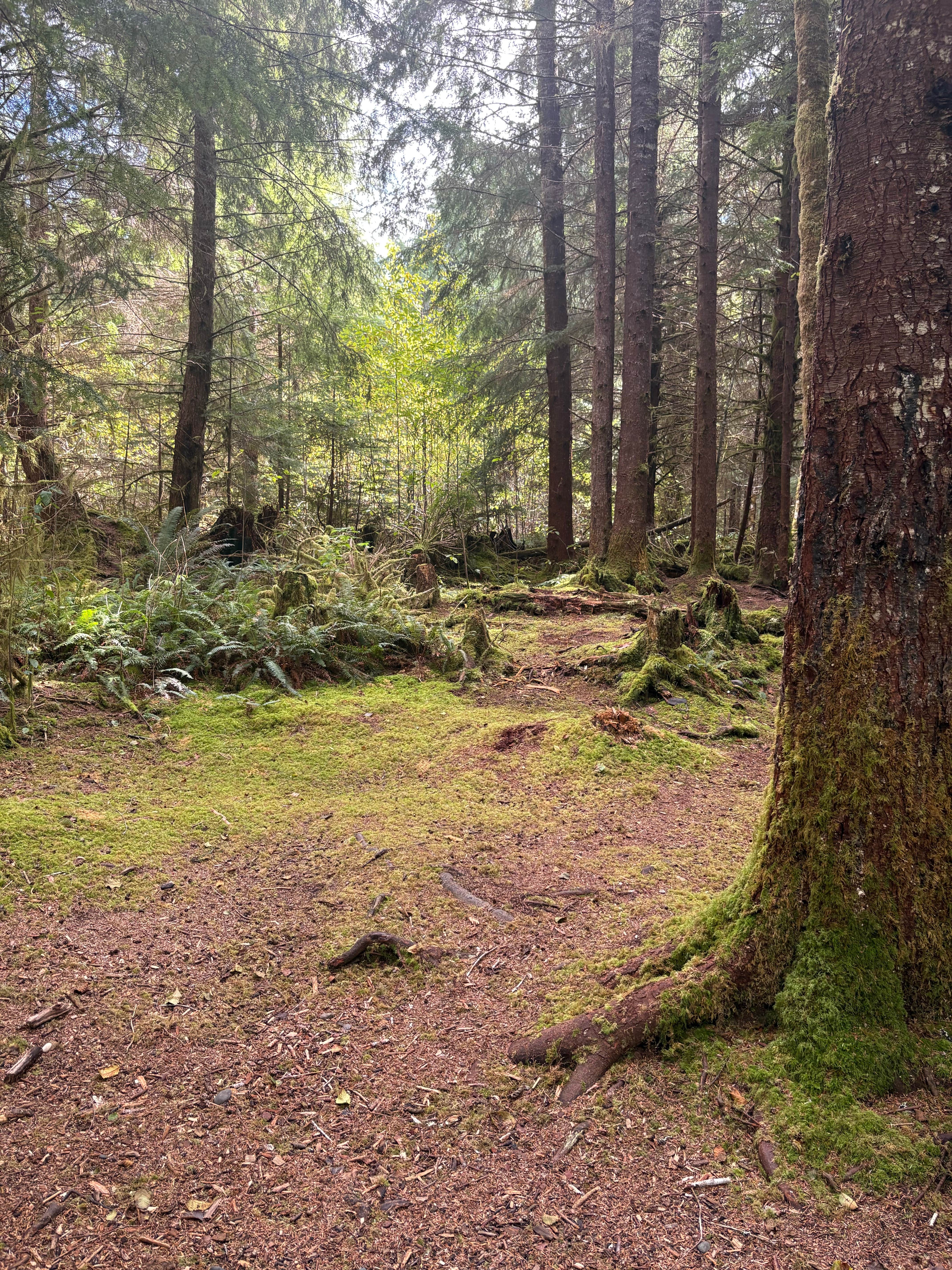 Camper submitted image from Owl Creek Camping - 4