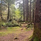 Review photo of Owl Creek Camping by Sarah S., September 27, 2025