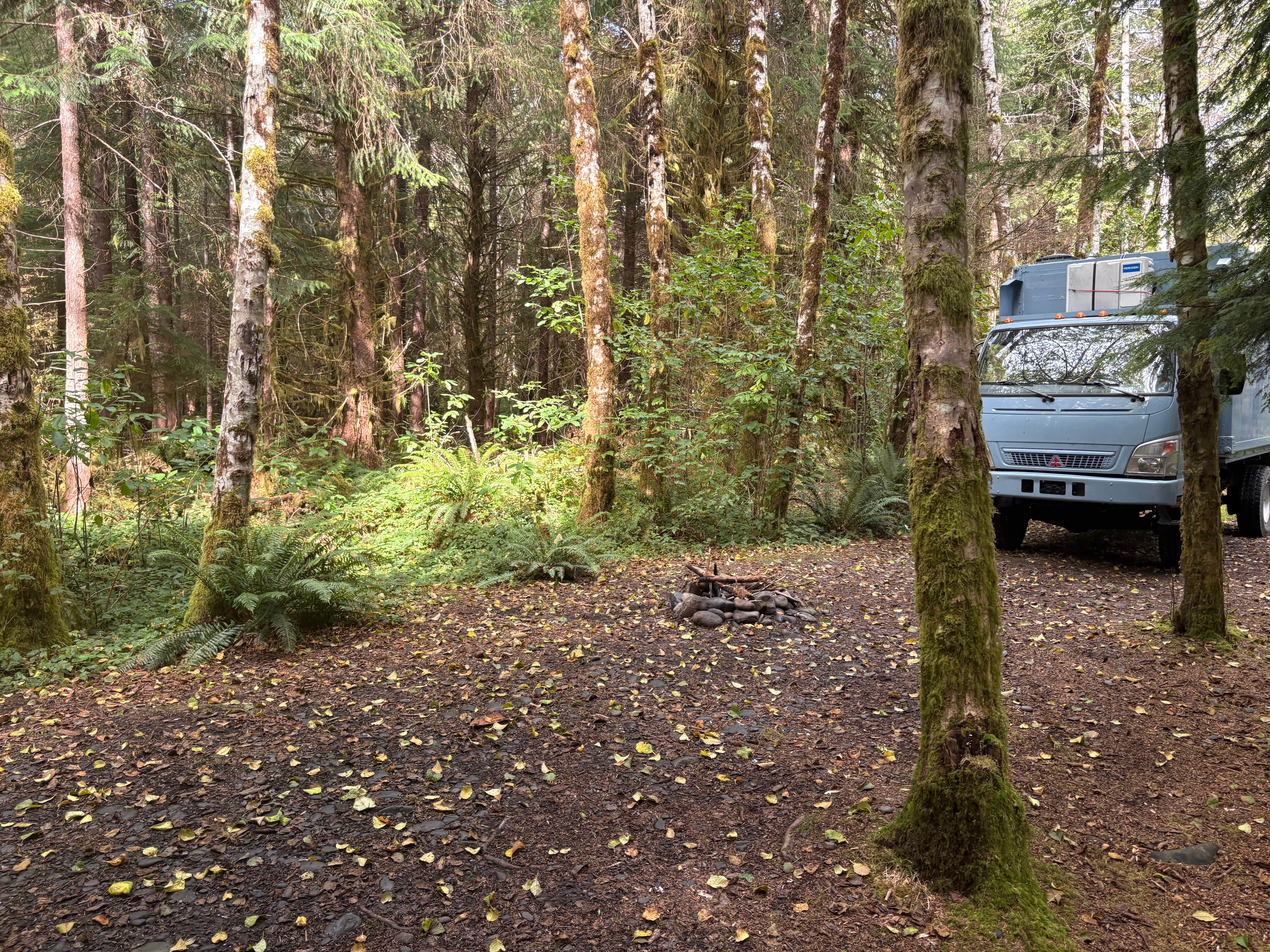 Camper submitted image from Owl Creek Camping - 2