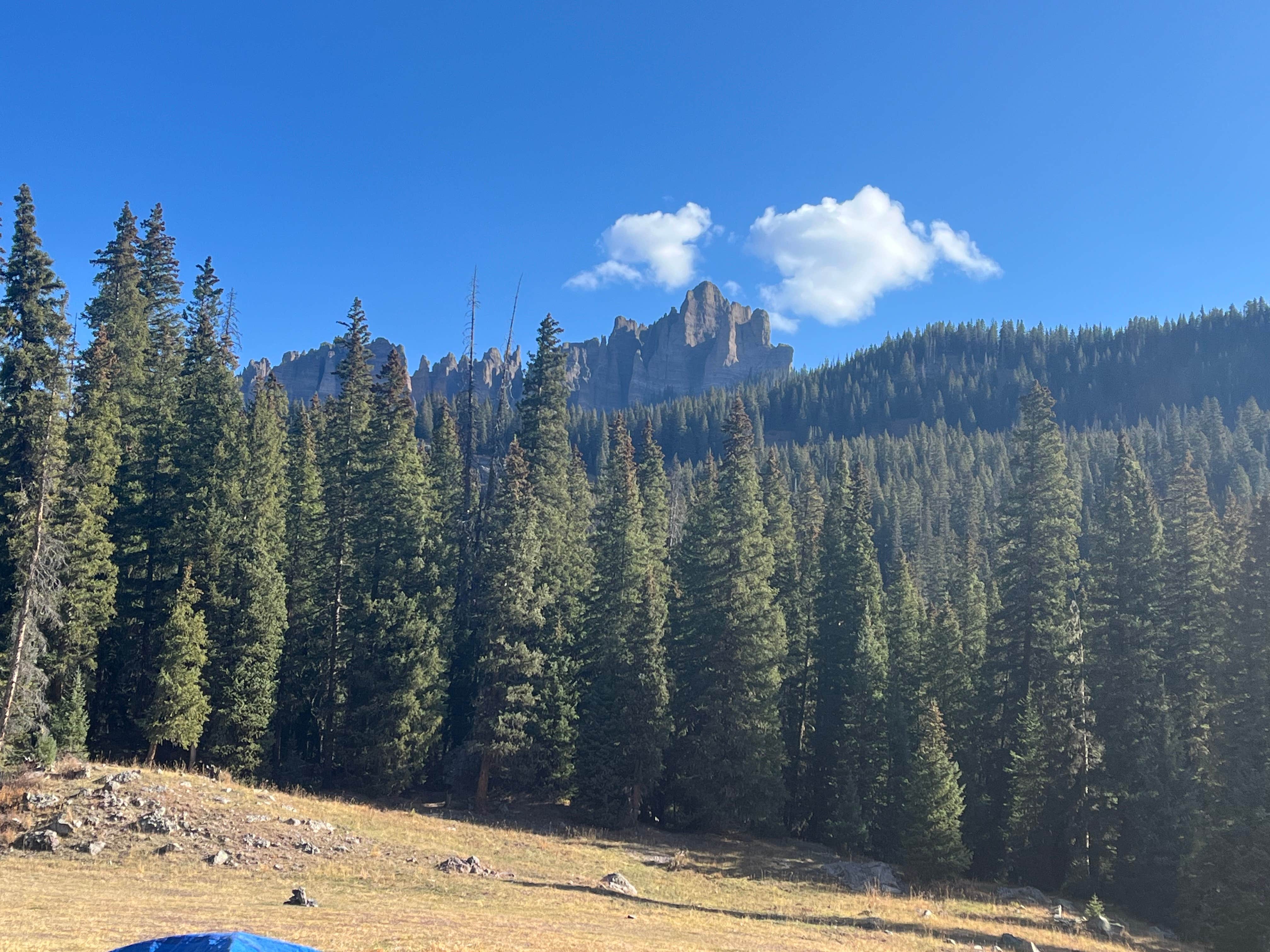 Camper-submitted photo at Owl Creek Vista near Ridgway, CO