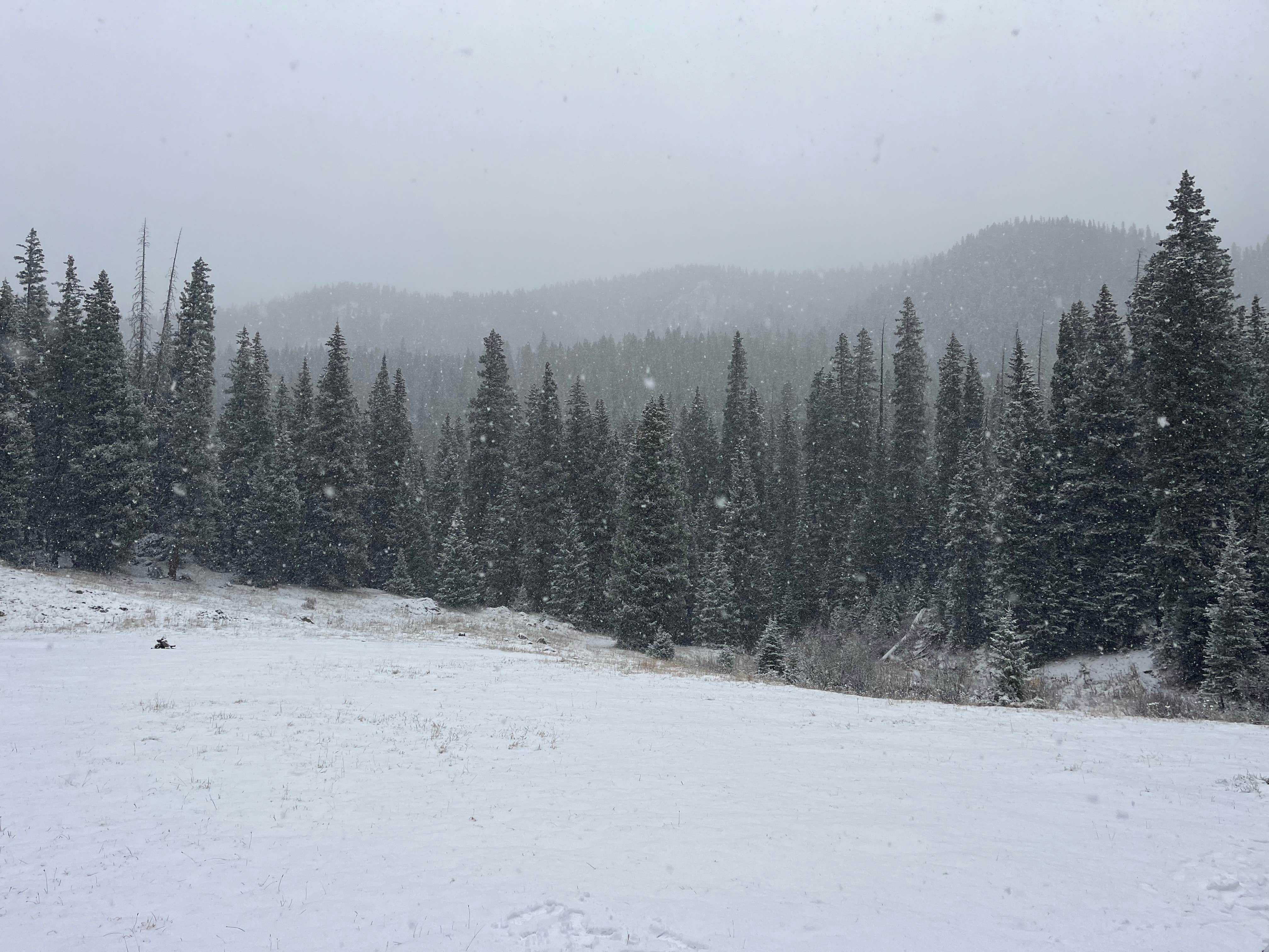 Camper-submitted photo at Owl Creek Vista near Ridgway, CO