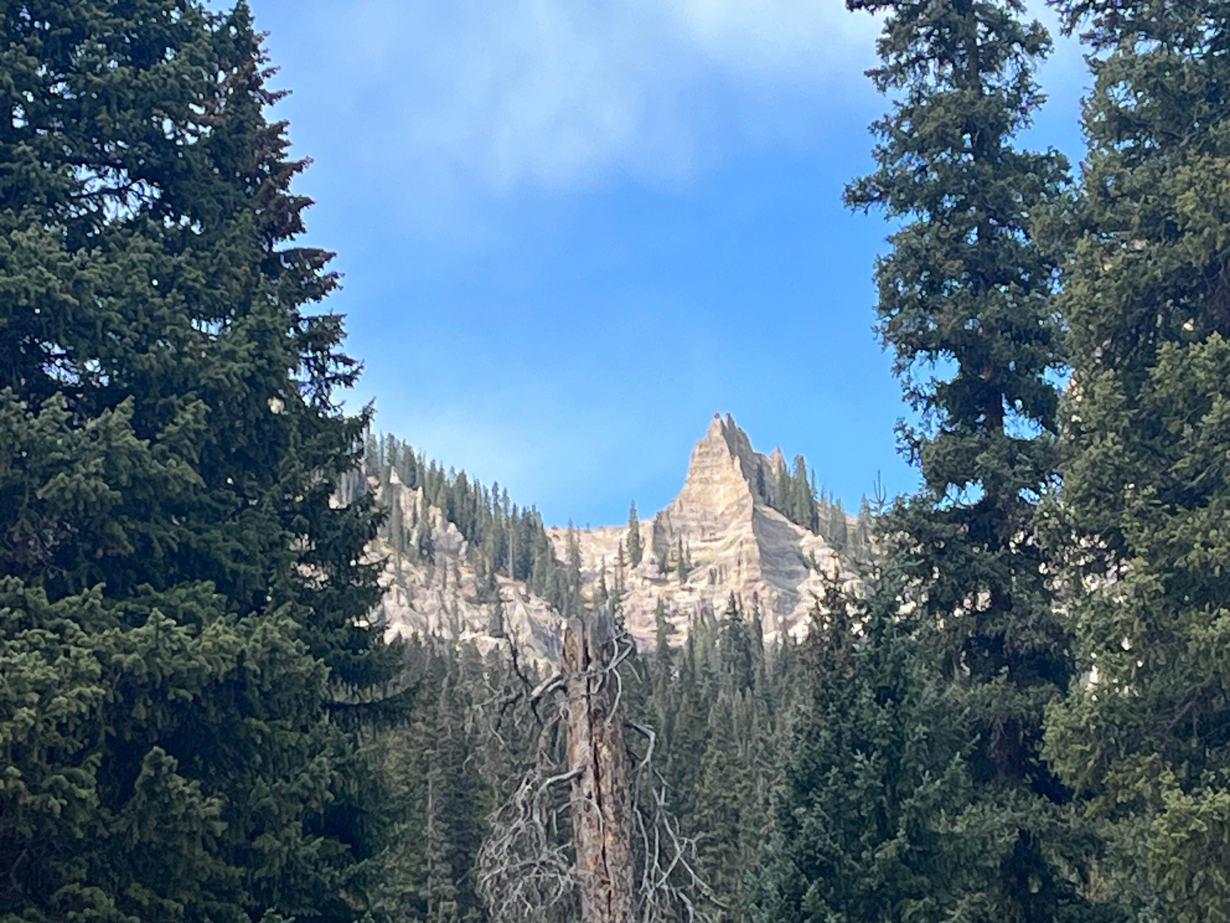 Camper-submitted photo at Owl Creek Vista near Ridgway, CO