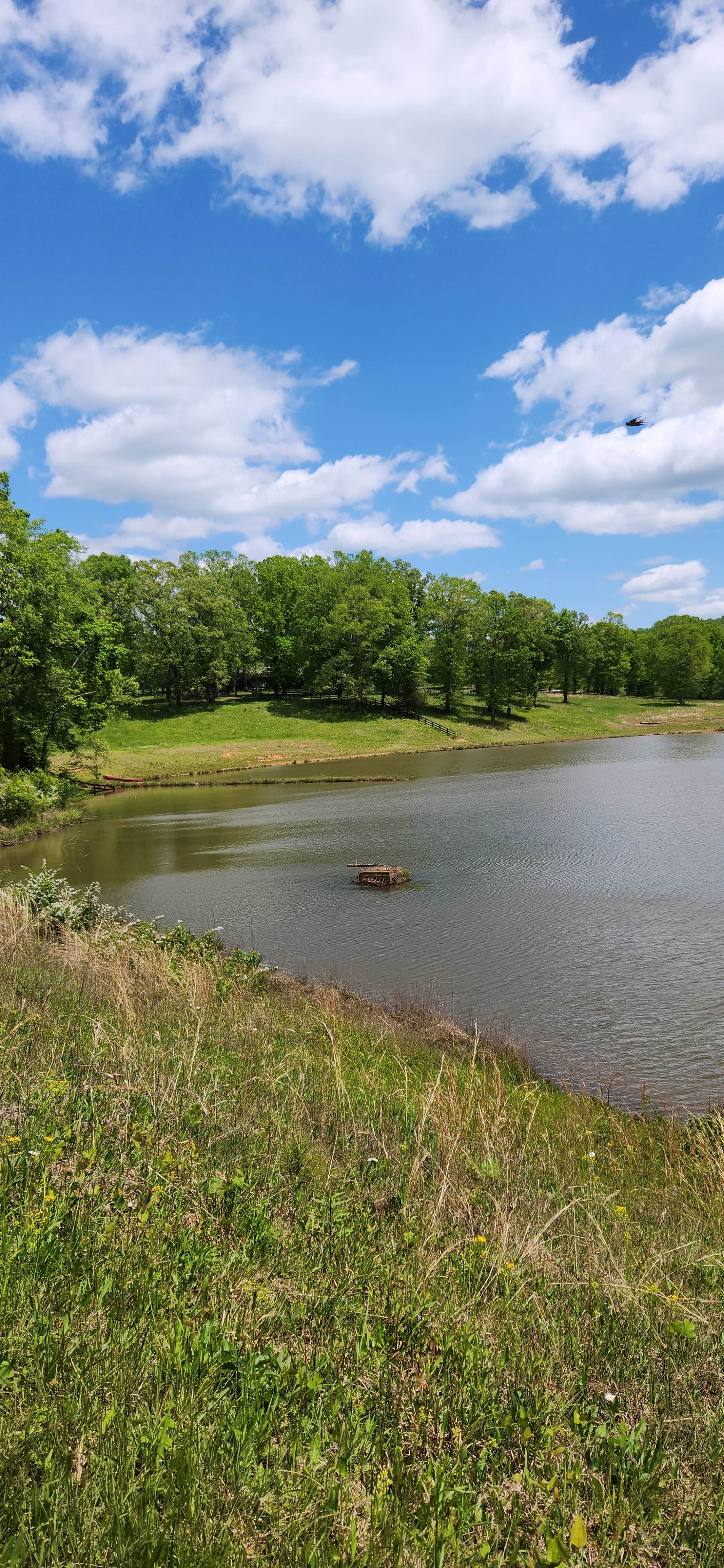 Camper submitted image from Owls Retreat Campground - 3