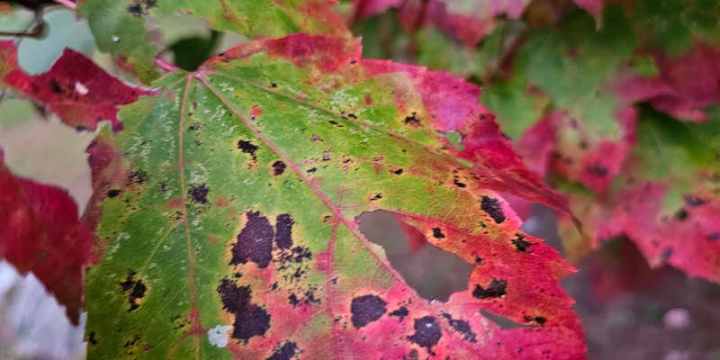 Camper submitted image from Oxbow Campground