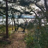 Review photo of Croatan National Forest Oyster Point Campground by Youssef S., November 8, 2024