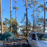 Review photo of Croatan National Forest Oyster Point Campground by Youssef S., November 8, 2024