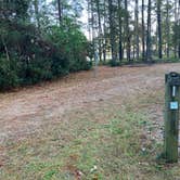 Review photo of Oyster Point Campground by Roger W., November 19, 2023