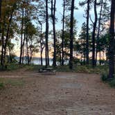 Review photo of Oyster Point Campground by Roger W., November 19, 2023