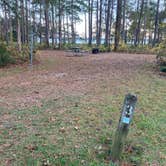 Review photo of Oyster Point Campground by Roger W., November 19, 2023