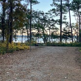 Review photo of Oyster Point Campground by Roger W., November 19, 2023