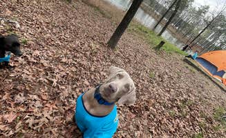 phesha R.'s photo at Ozan Point - De Gray Lake in Arkansas