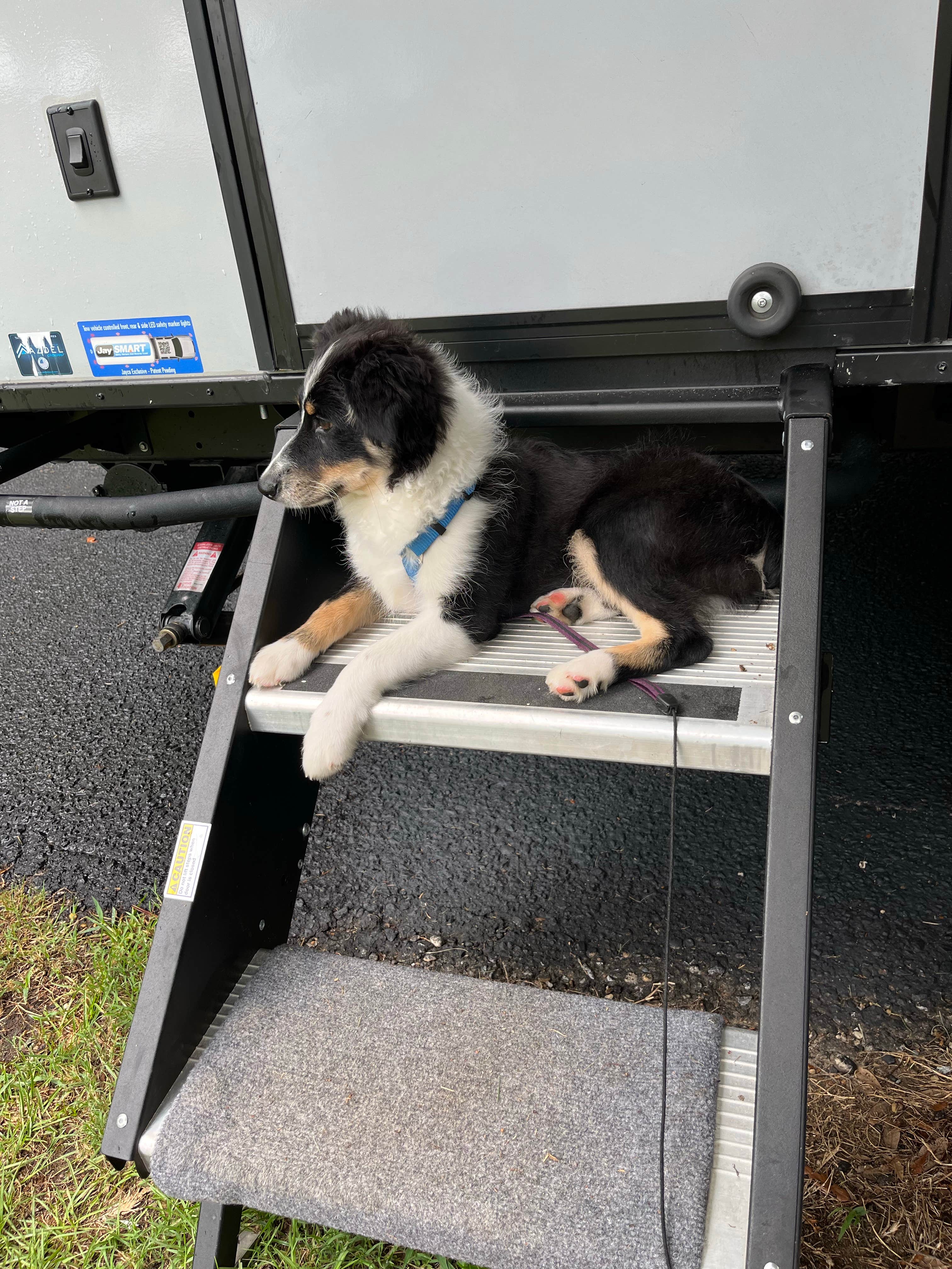 Camper-submitted photo at Ozark-Fort Rucker KOA near Clopton, AL