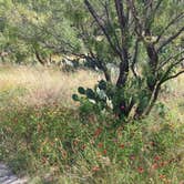 Review photo of Pace Bend Park - Lake Travis by Andy M., May 20, 2026
