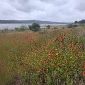 Review photo of Pace Bend Park - Lake Travis by Andy M., May 20, 2026