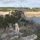 Review photo of Pace Bend Park - Lake Travis by juliet S., November 13, 2024