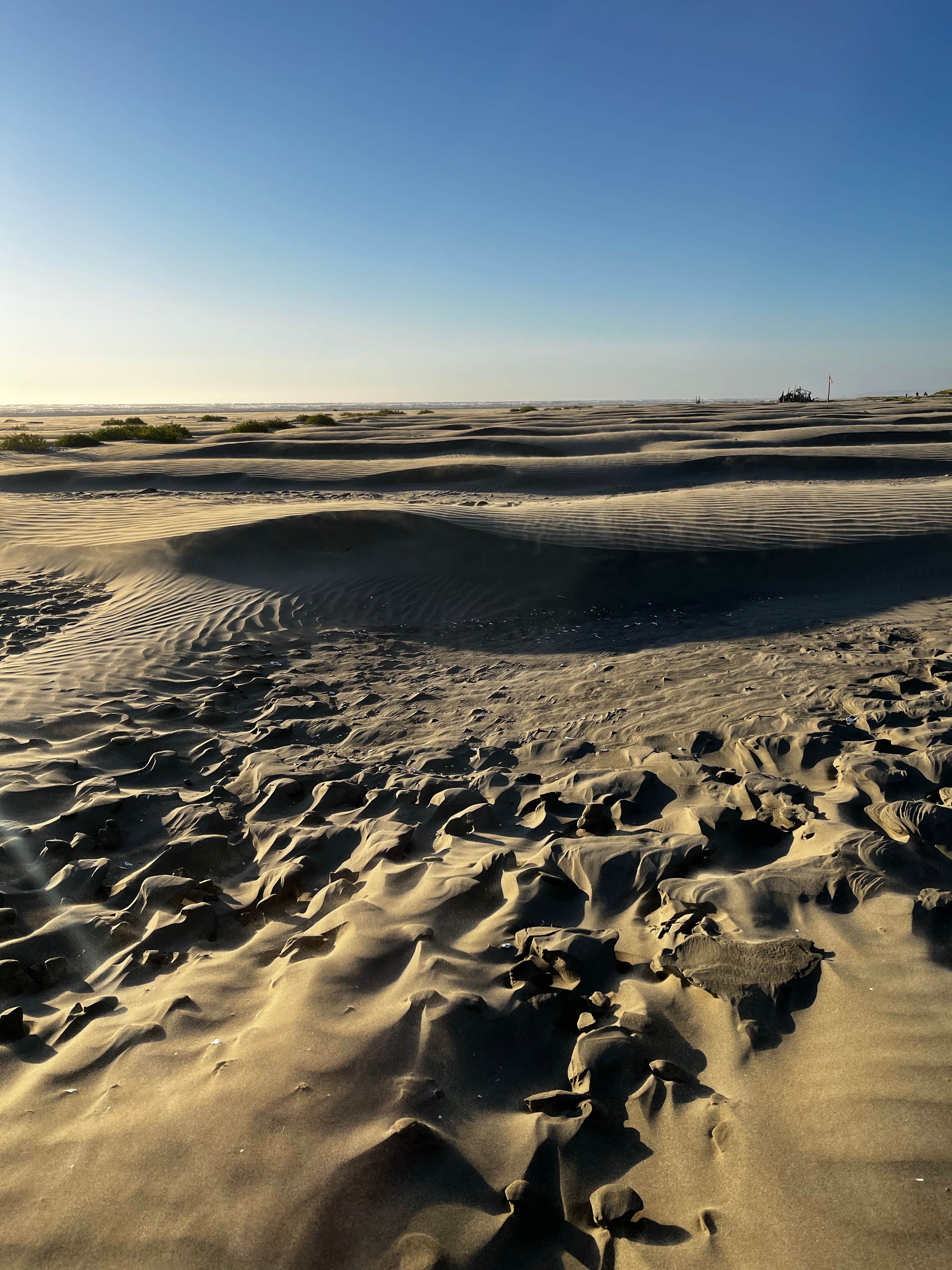 Camper submitted image from Pacific Beach State Park Campground - 1