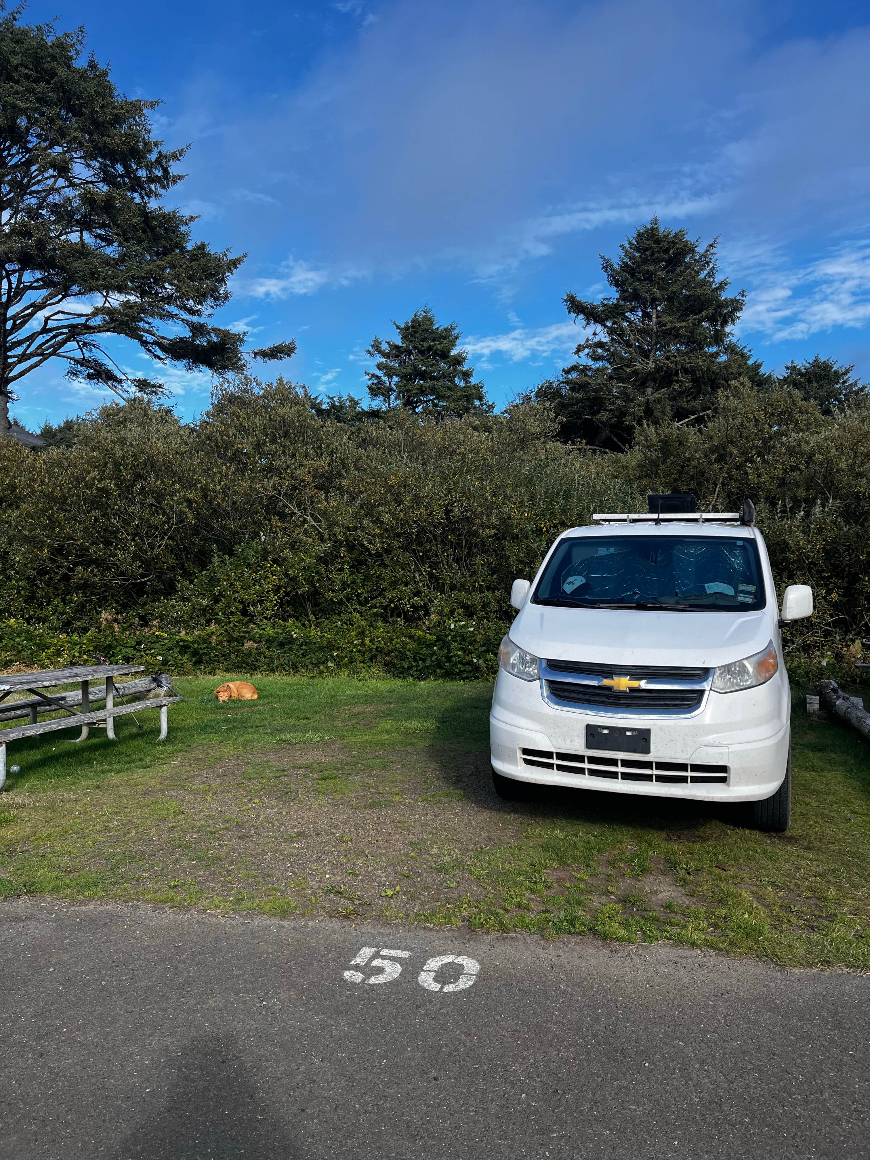 Camper submitted image from Pacific Beach State Park Campground - 2