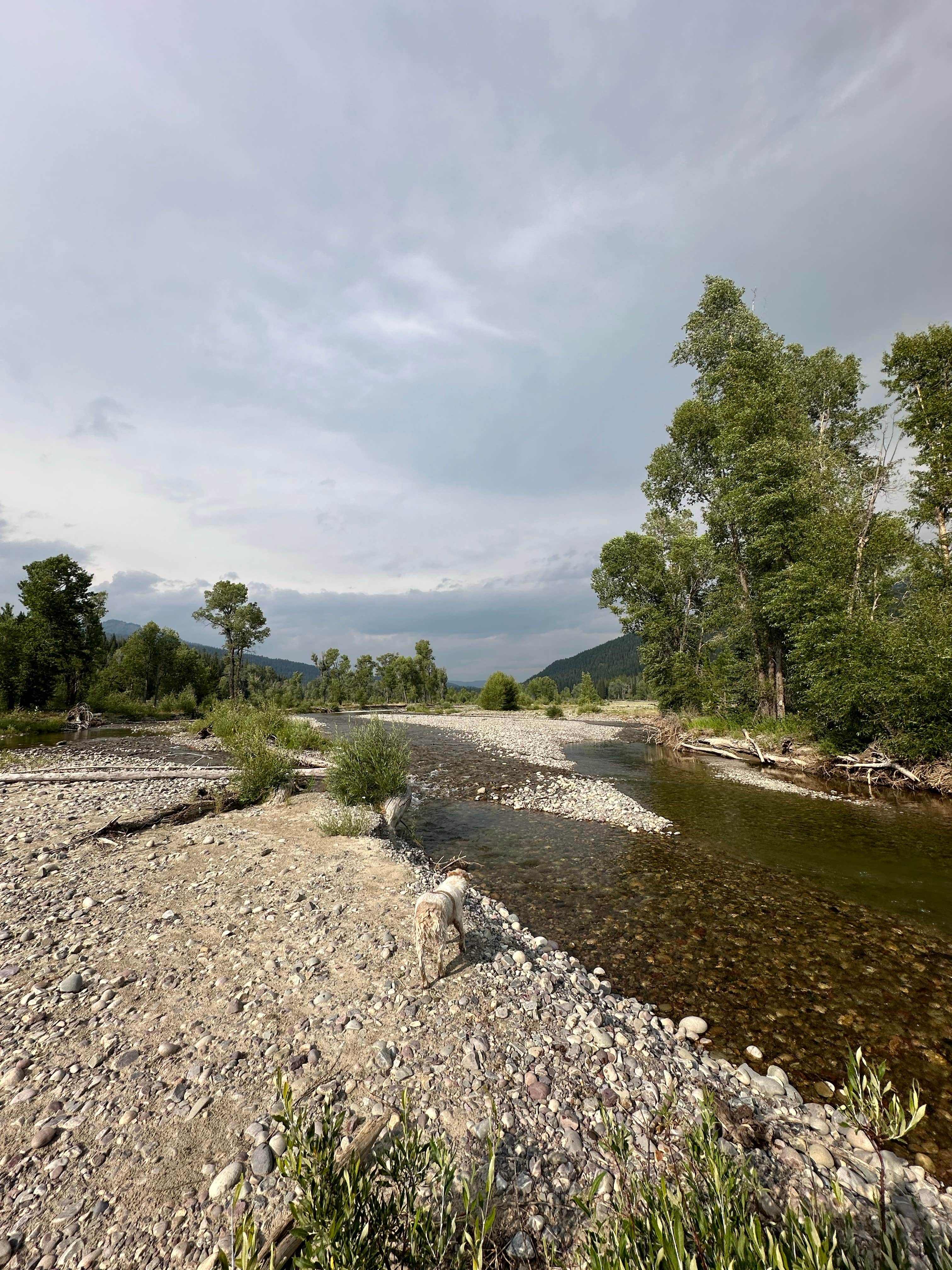 Connor Y.'s photo of camping with pets at Pacific Creek (FR 30090) Designated Dispersed Campsite near Grand Teton National Park