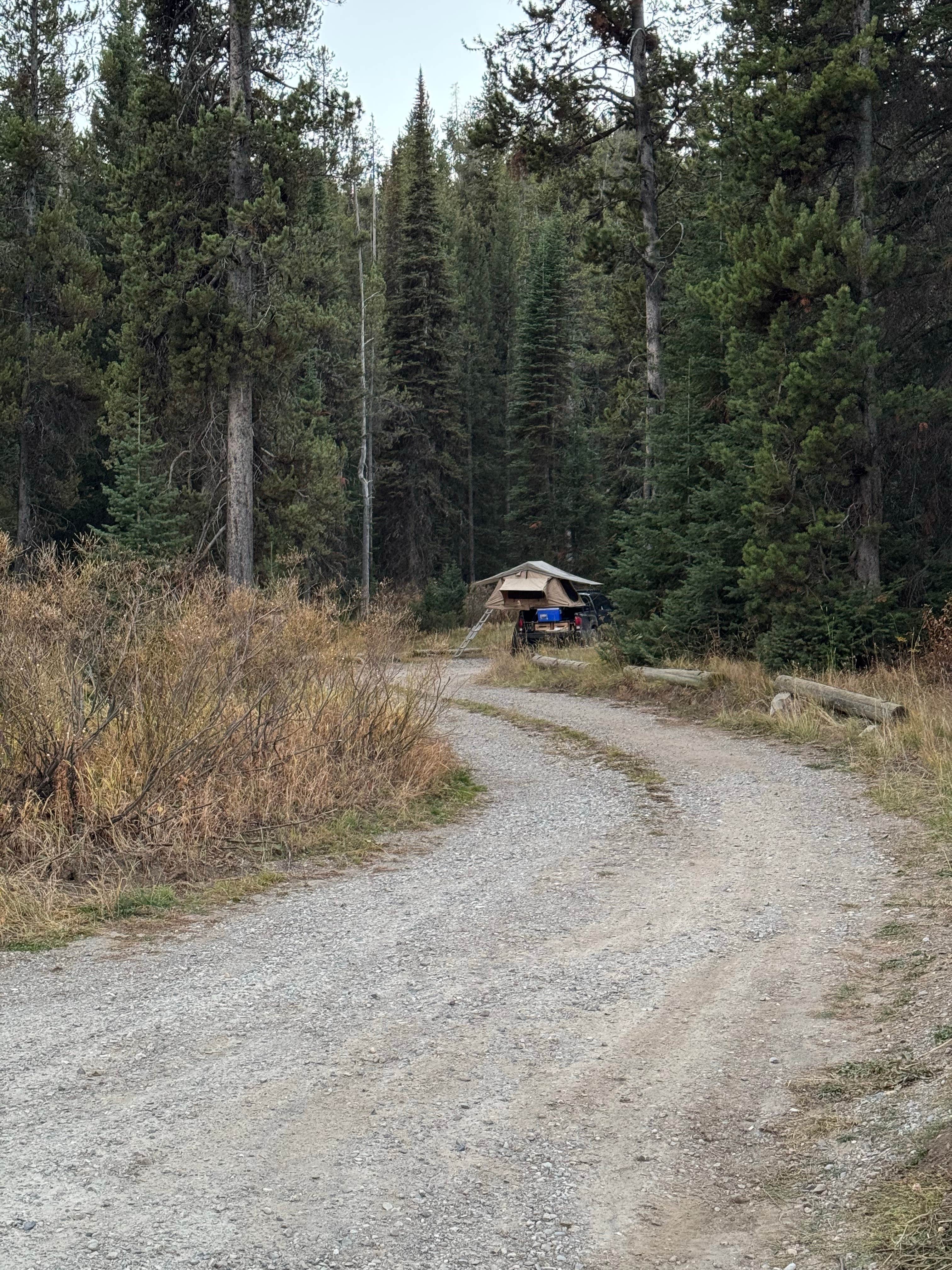 Camper-submitted photo at Pacific Creek (FR 30090) Designated Dispersed Campsite near John D. Rockefeller Jr. Memorial Parkway