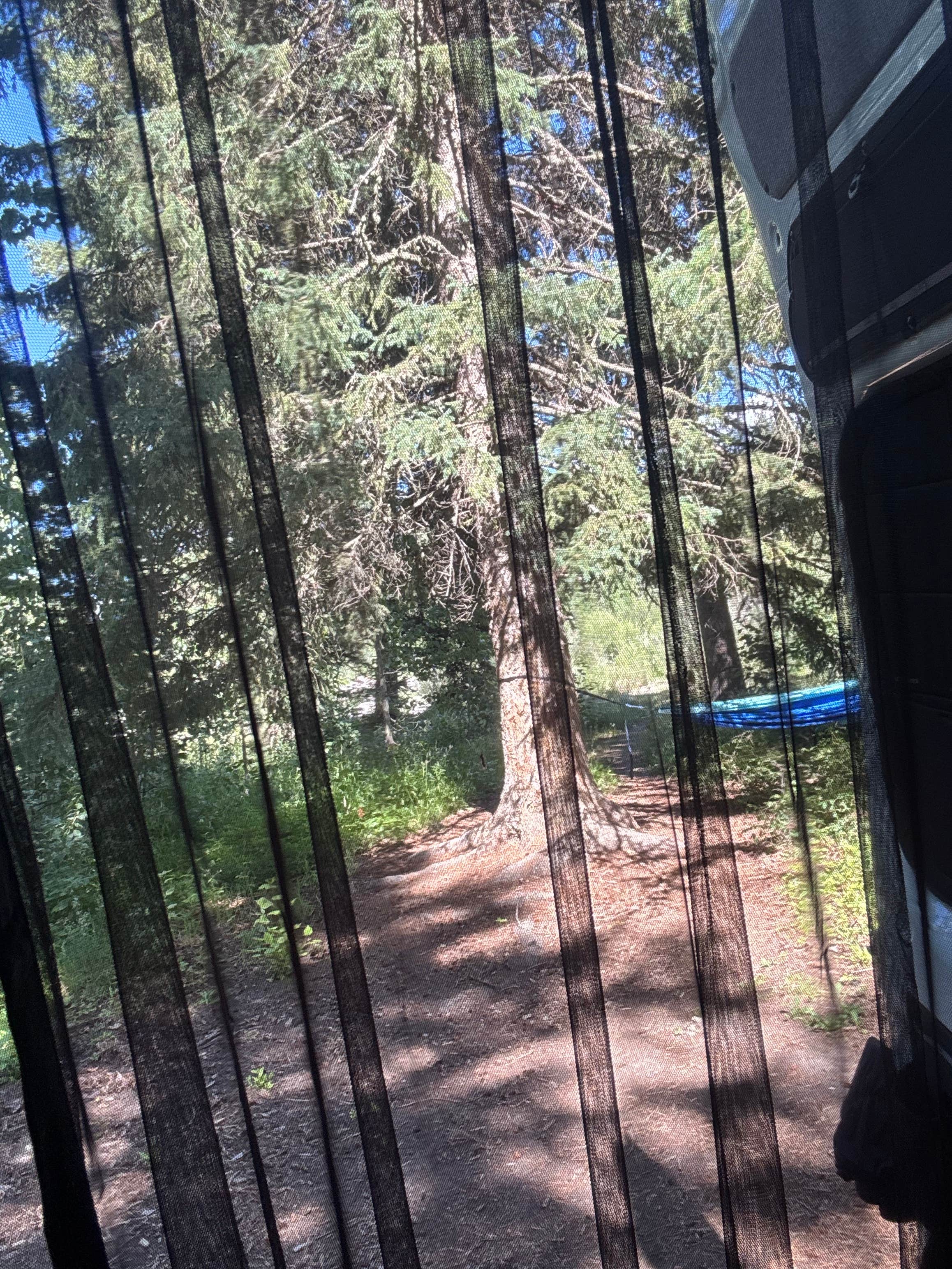 Joleen O.'s photo of a dispersed camping area at Pacific Creek (FR 30090) Designated Dispersed Campsite near Moran, WY