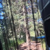 Review photo of Pacific Creek (FR 30090) Designated Dispersed Campsite by Joleen O., July 25, 2026