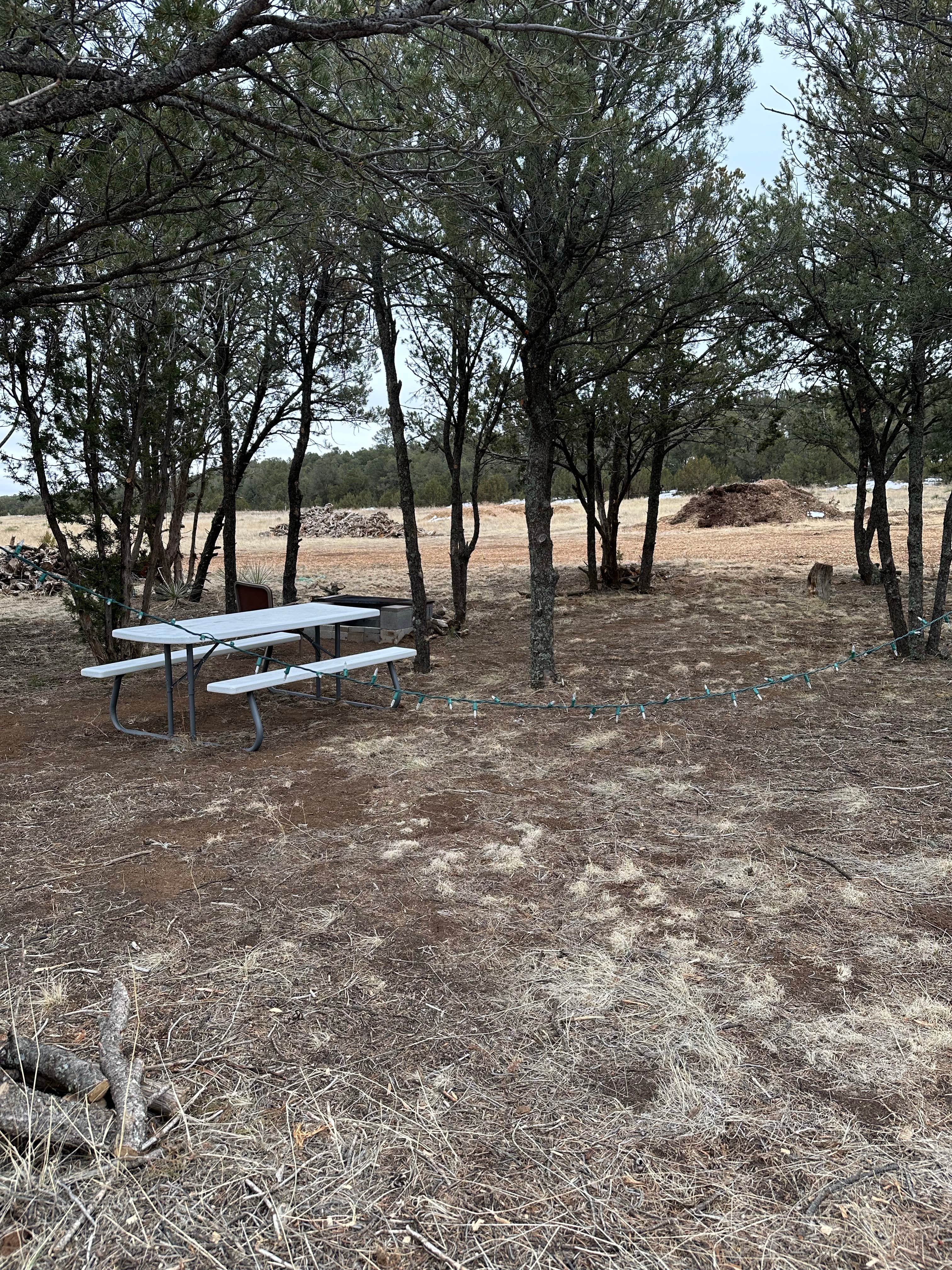 Rebecca M.'s photo of camping with pets at Padilla Ranch near Rincon, NM