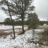 Review photo of Padilla Ranch by Lucy P., March 30, 2024