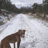 Review photo of Padilla Ranch by Lucy P., March 30, 2024