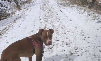 Lucy P.'s photo of camping with pets at Padilla Ranch near Tijeras, NM