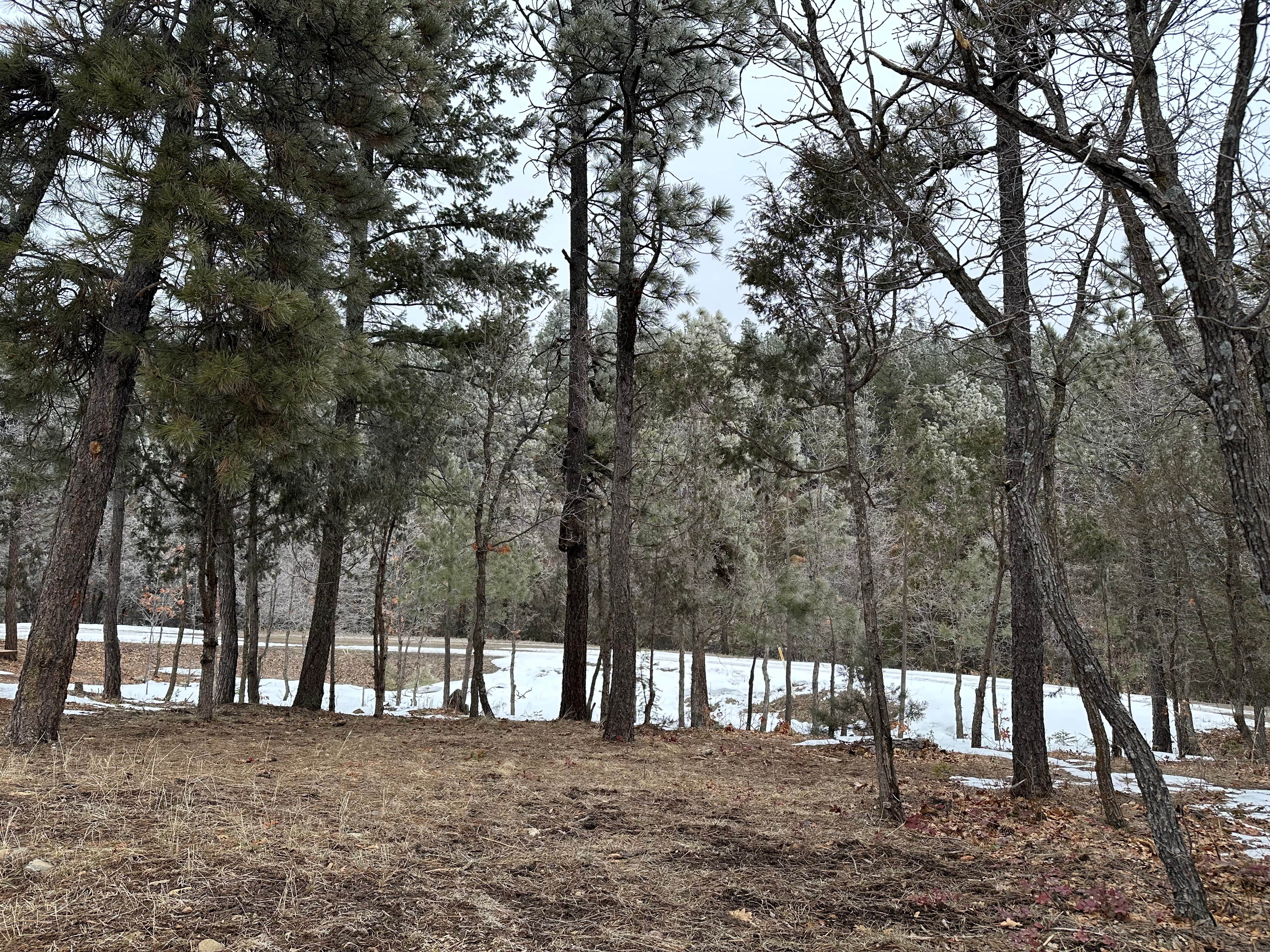 Camper-submitted photo at Padilla Ranch near Estancia, NM