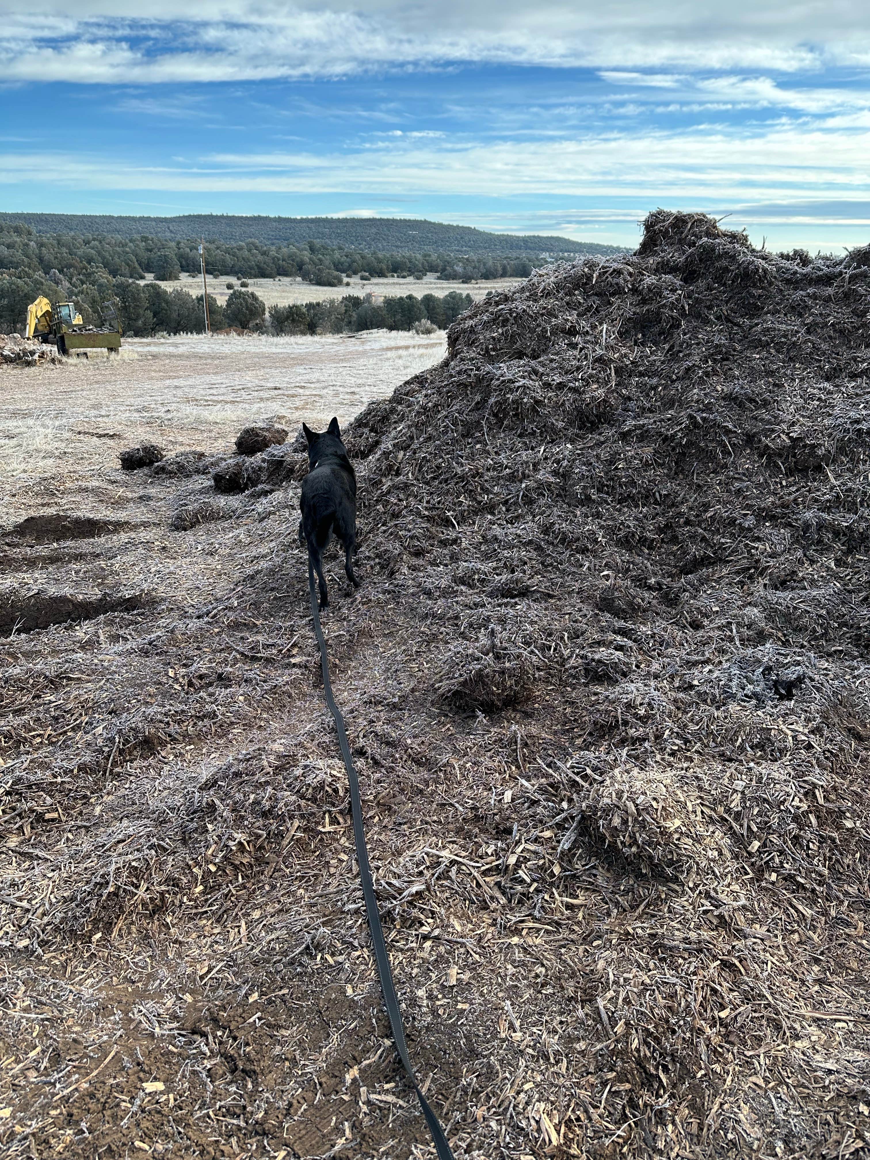 Camper-submitted photo at Padilla Ranch near Estancia, NM