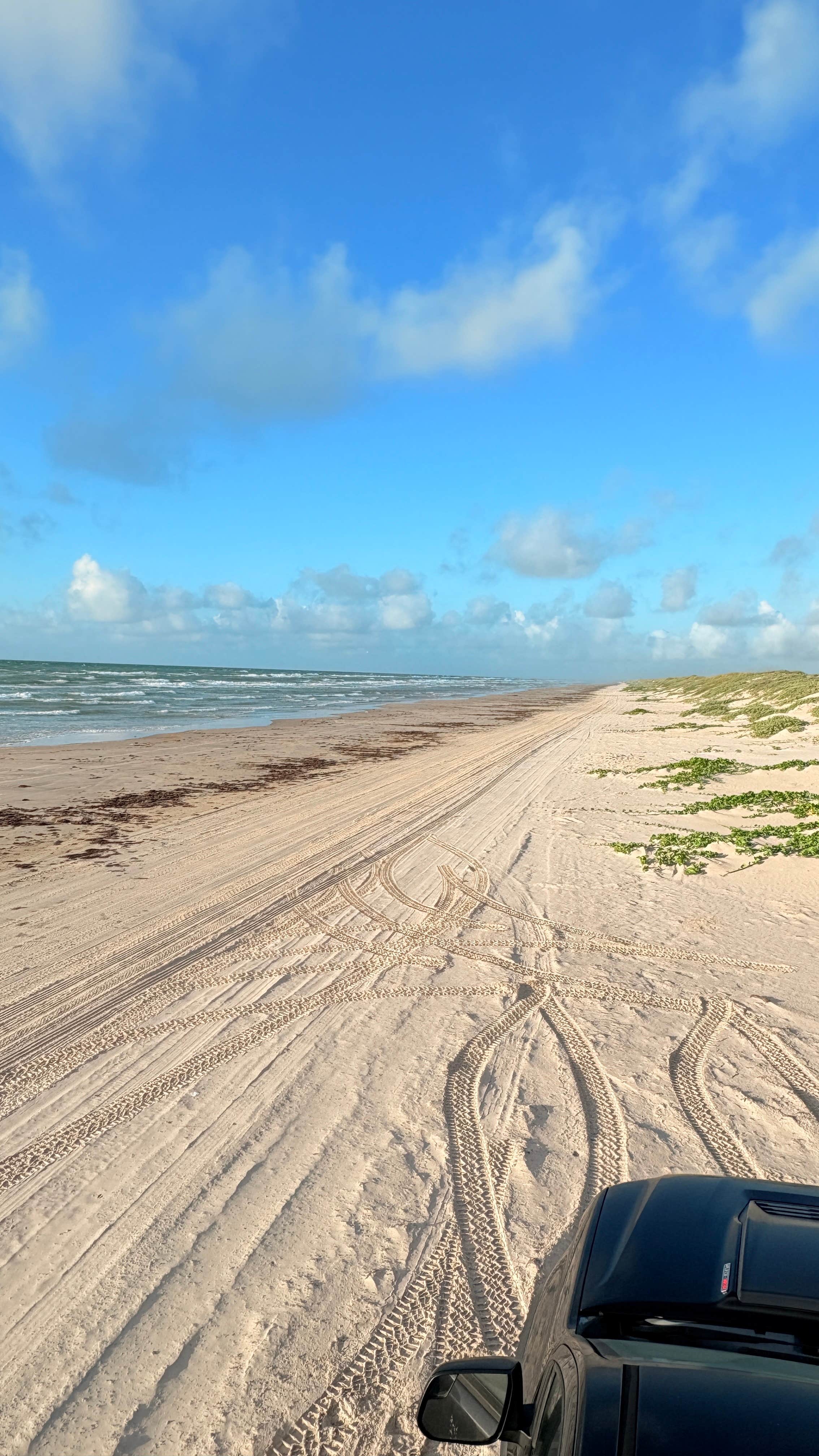Camper-submitted photo at Padre Island South Beach near Chapman Ranch, TX