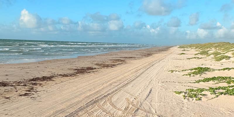 Camper submitted image from Padre Island South Beach