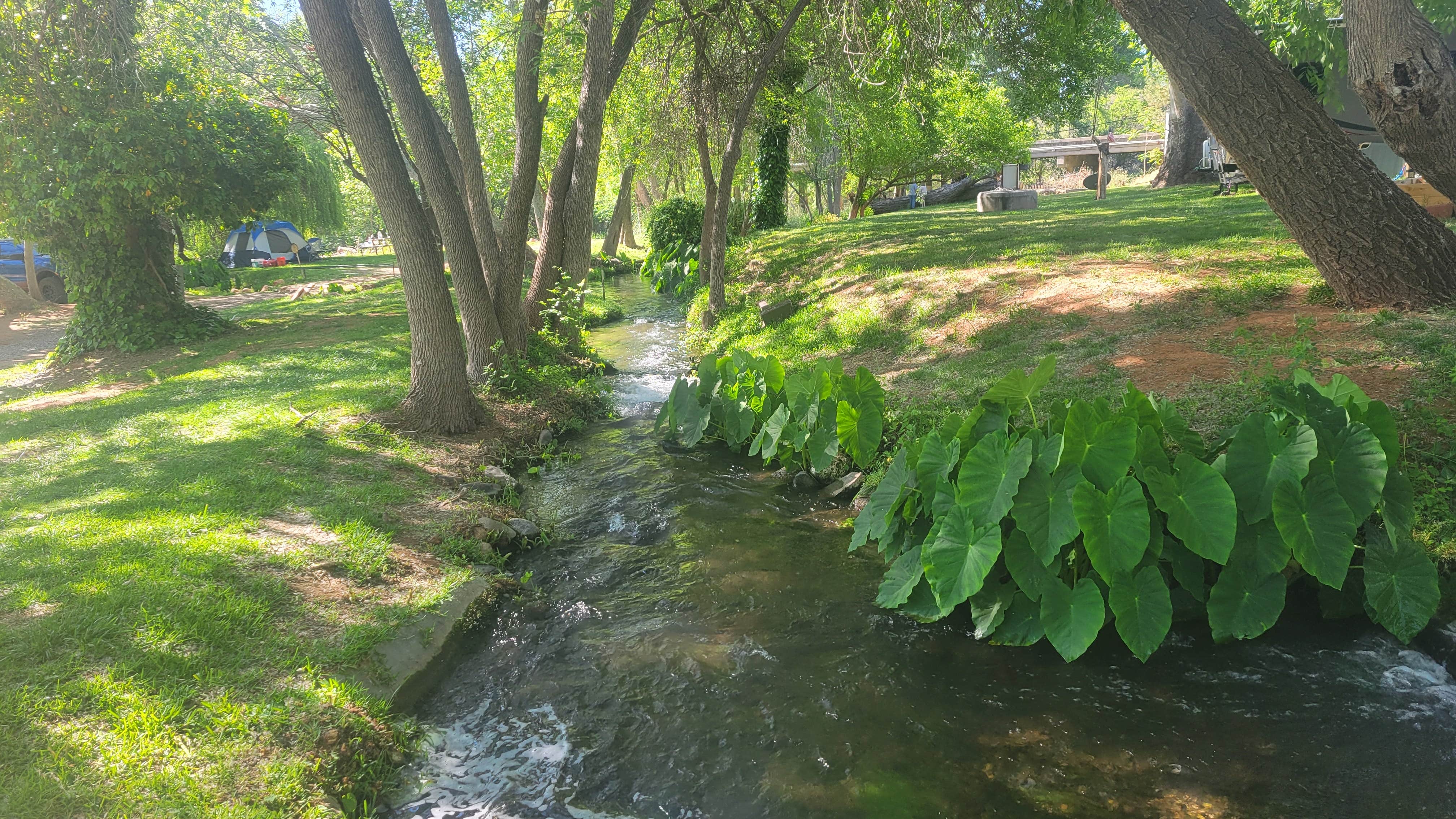 Camper-submitted photo at Page Springs Resort near Payson, AZ