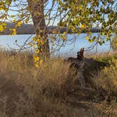 Review photo of Upper Campground - Pahranagat National Wildlife Refuge by David M., September 19, 2024