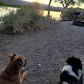 Review photo of Upper Campground - Pahranagat National Wildlife Refuge by Michelle S., August 1, 2025